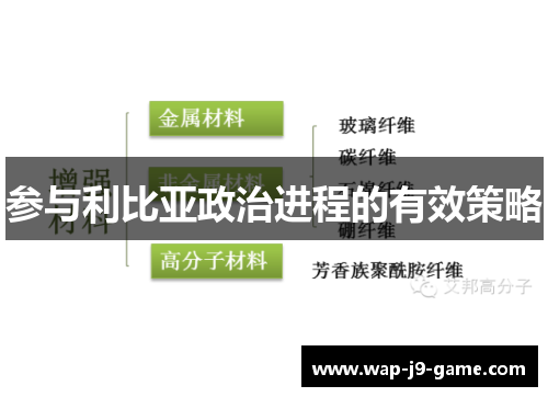 参与利比亚政治进程的有效策略 参与利比亚政治进程的有效策略
