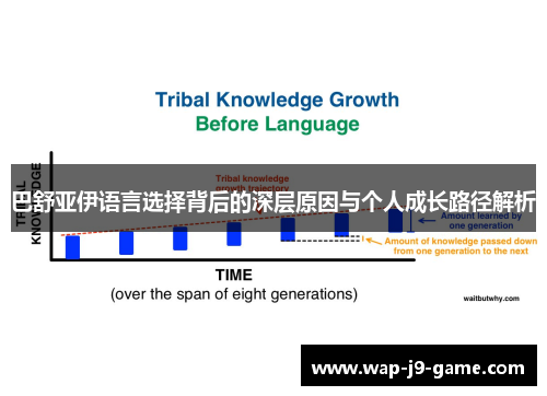 巴舒亚伊语言选择背后的深层原因与个人成长路径解析 巴舒亚伊语言选择背后的深层原因与个人成长路径解析